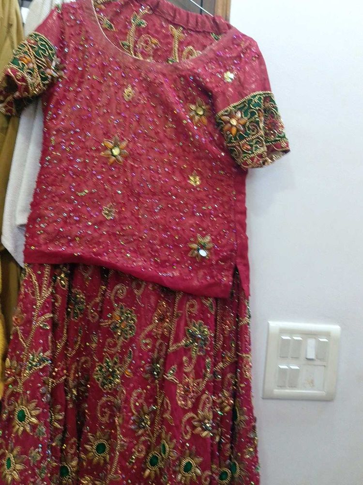 Embroidered Lehenga Choli