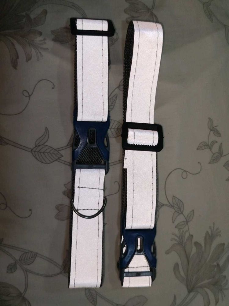 Reflective Dog Collars - Safety First!