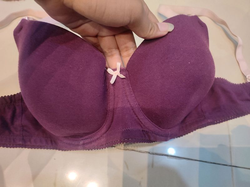 Zivame Padded Wired T Shirt Bra