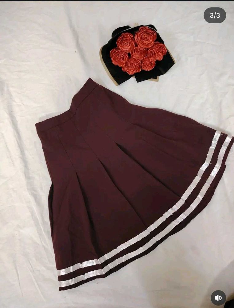 Pleated Skirt with Stripes