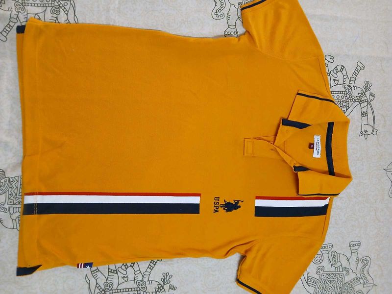 Branded Polo T Shirt For Boys 8/9