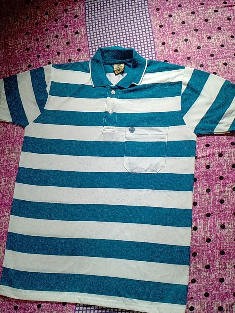 Maxcity Collar T Shirt Blue And White Colour T Shirt XXL no Flaws Koi Daag Dhabba Nahi Hai Collar Tshirt Xxl Full Size