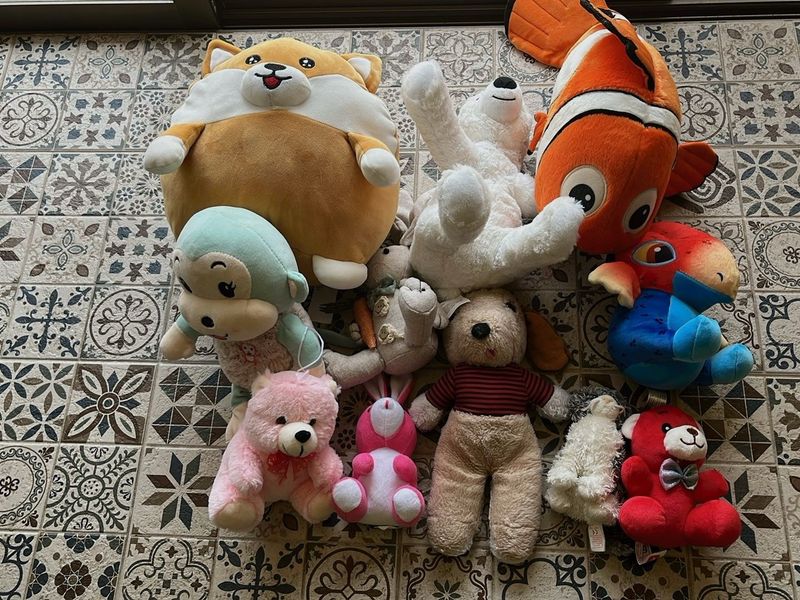 Combo of 10 Stuff Toys