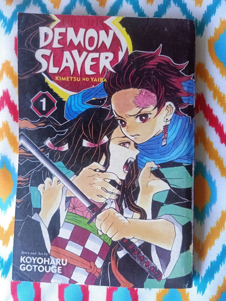 Demon Slayer Manga Vol.1