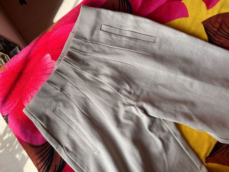 Formal Fitted Beige pant/Trouser