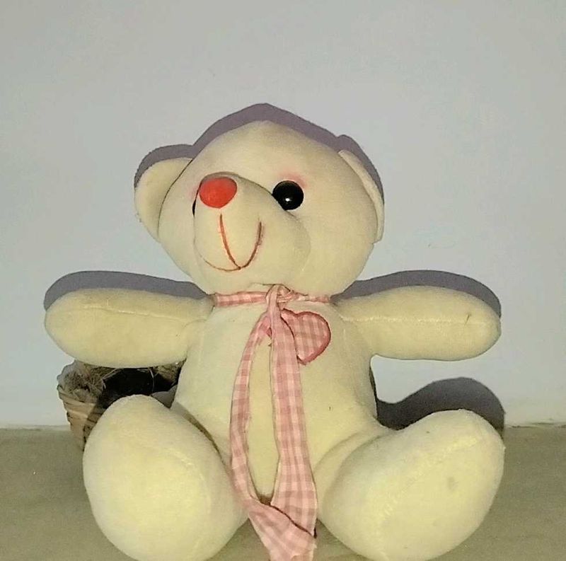 Cute Teddy And Toy🧸