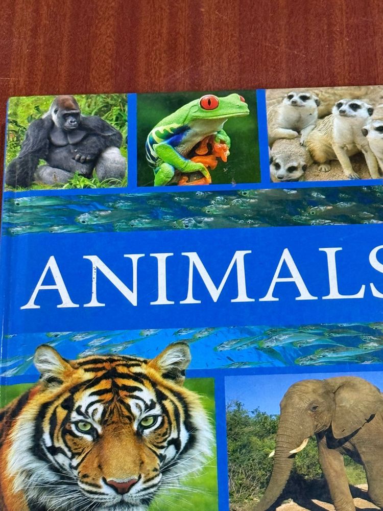 Animals Book
