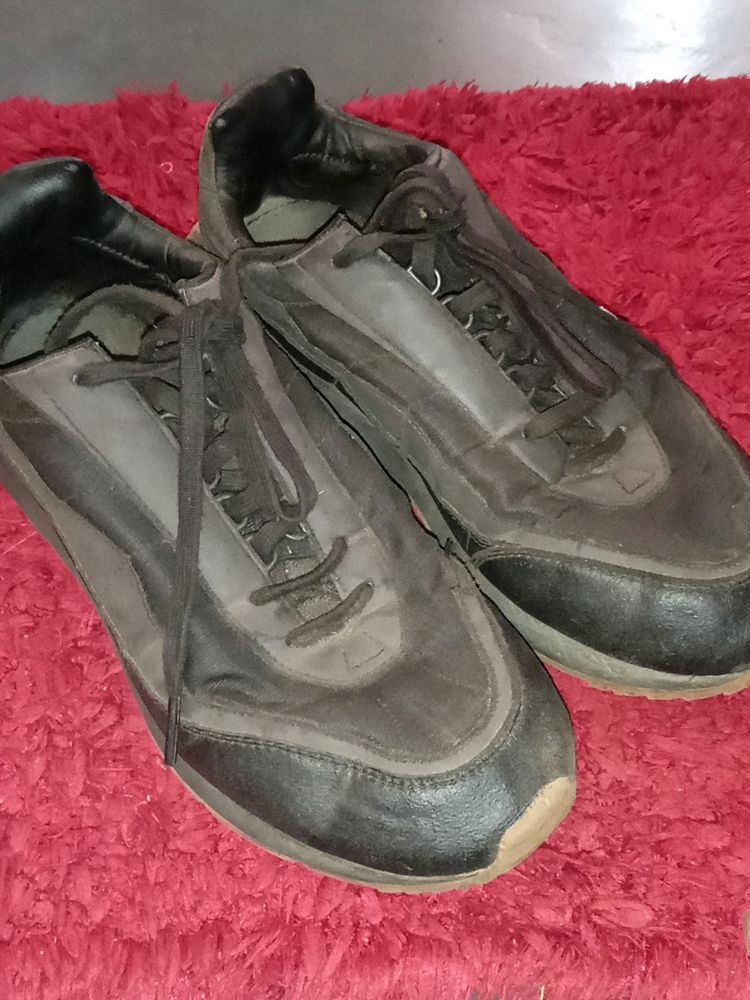 Zara Shoe