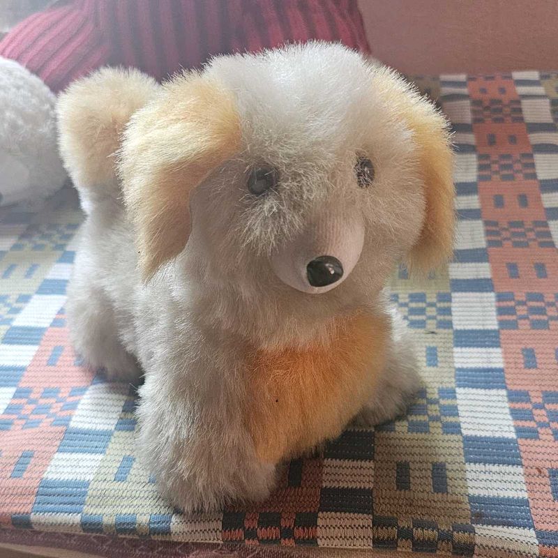 Little Puppy