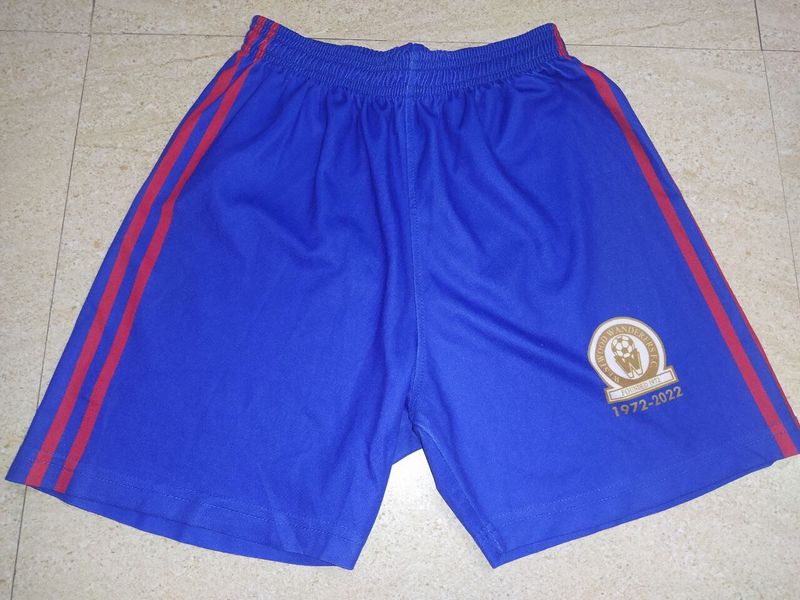 Blue Striped Shorts
