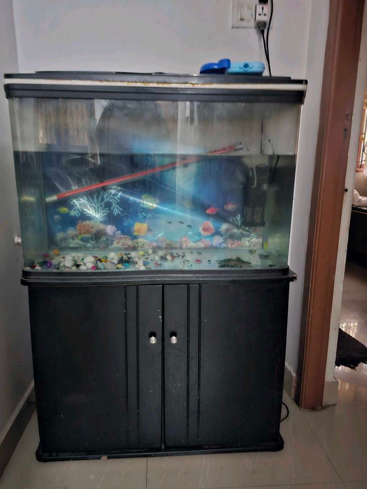 Fish Tank with Cabinet