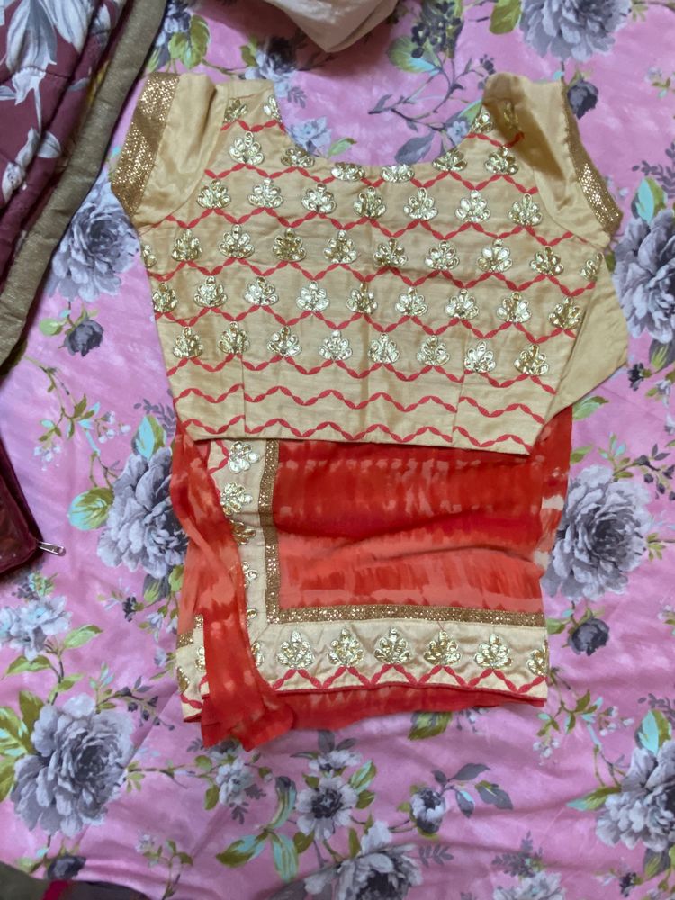 saree with heavy blouse