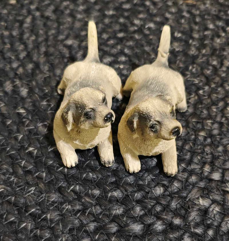 Dogs Show Piece