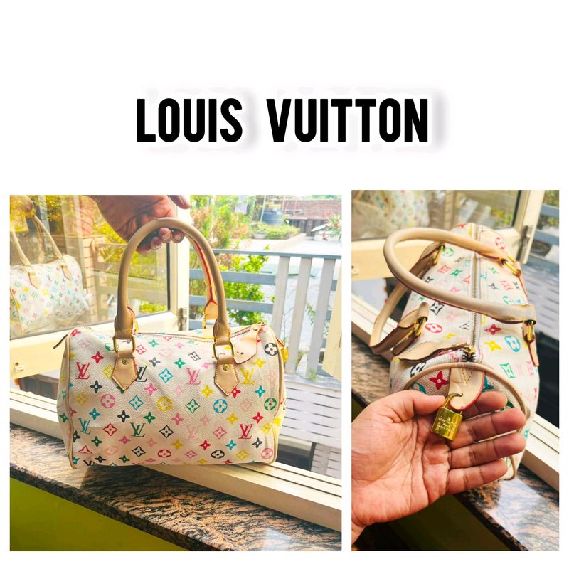 Louis Vuitton Rainbow Speedy bag