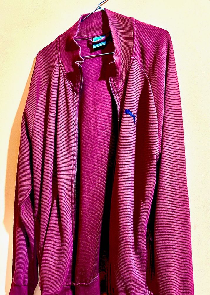 Striped Burgundy Jacket