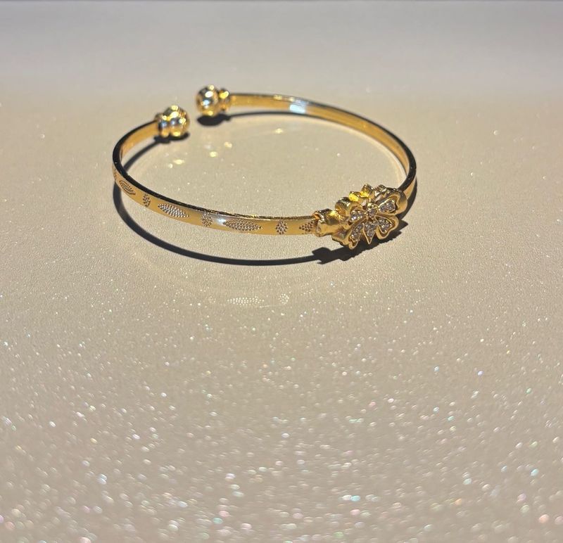 Glided Wings Bracelet