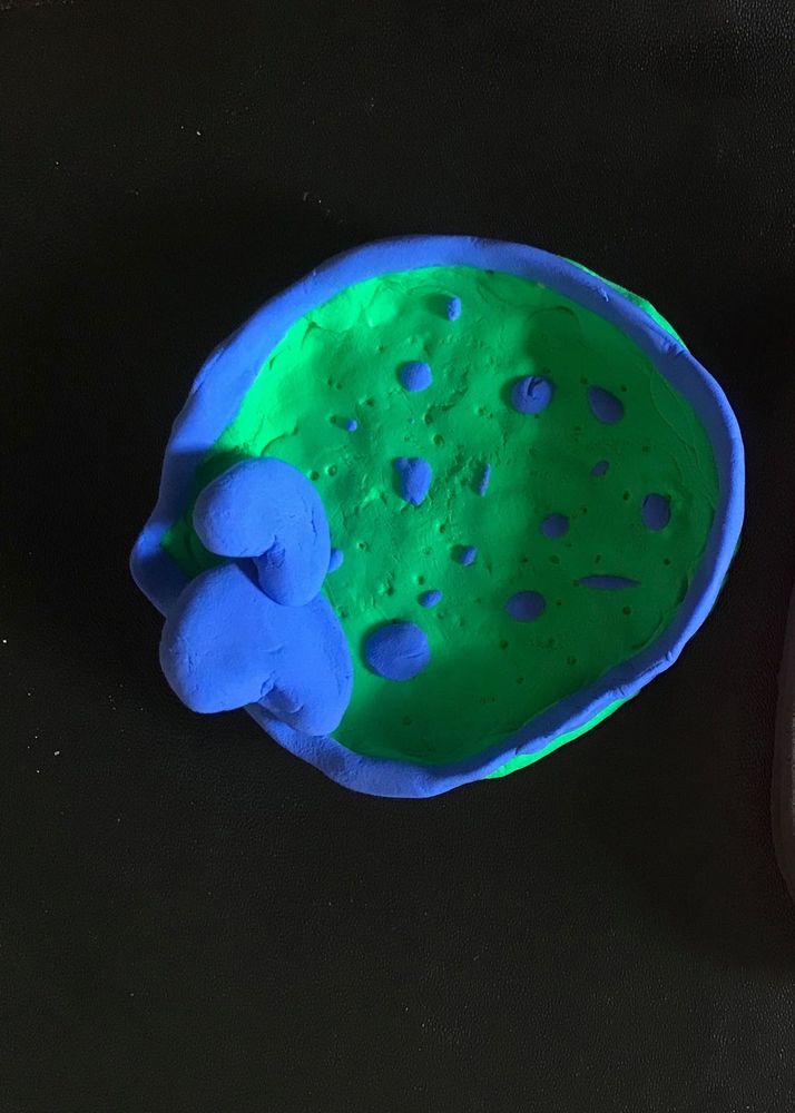 Clay Tray
