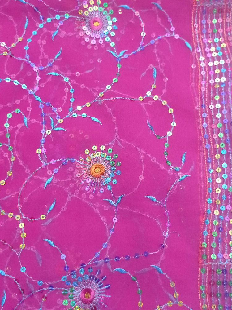Special Sequins And Resham Handwork Dupatta