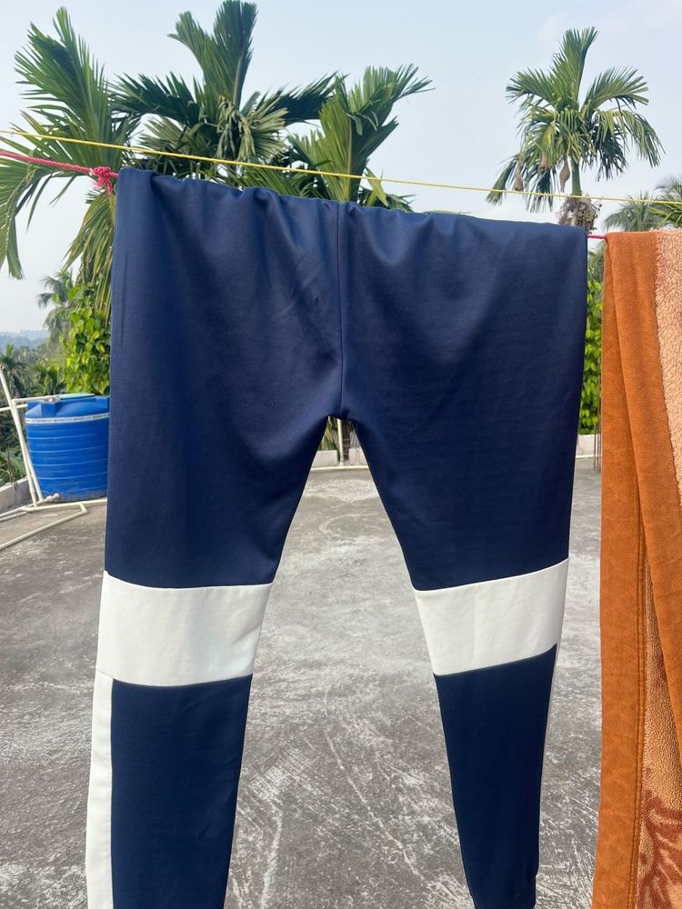 HRX men lifestyle joggers