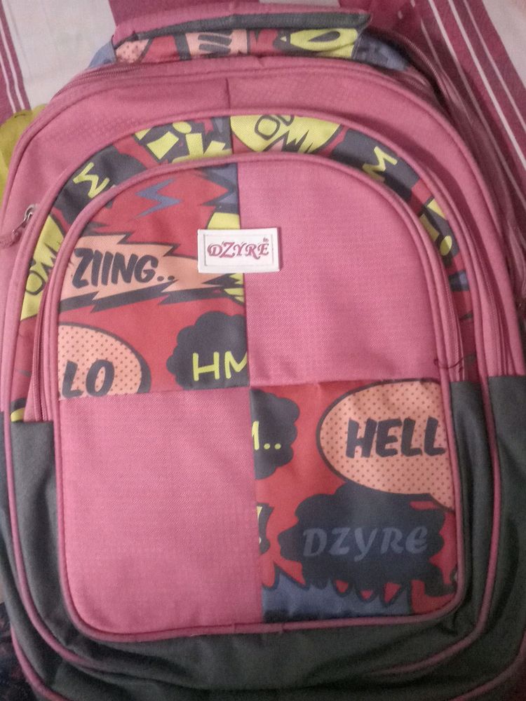 Beautiful Backpack For School And College