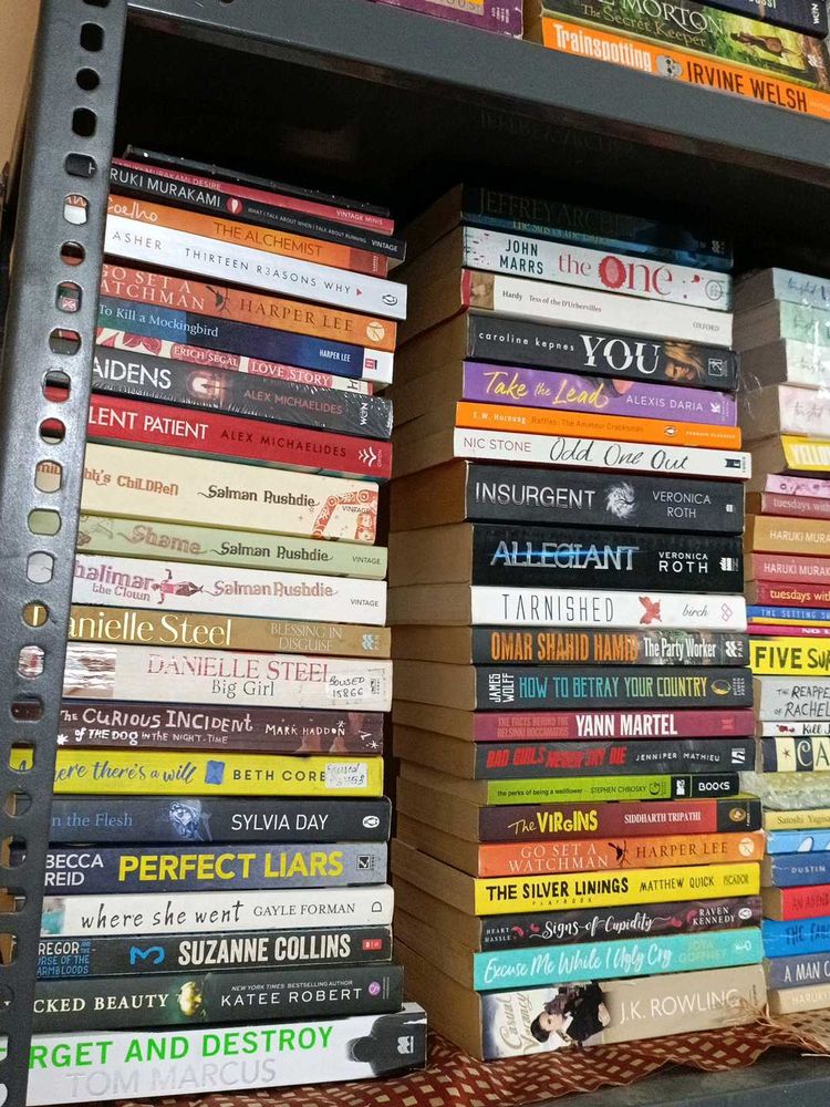 Diverse Bestselling Novels Collection