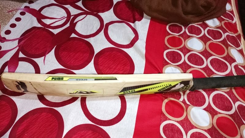 New Puma Bat