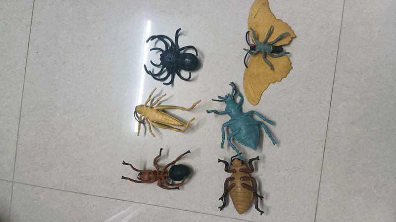 Toy Bugs Set 6pieces.