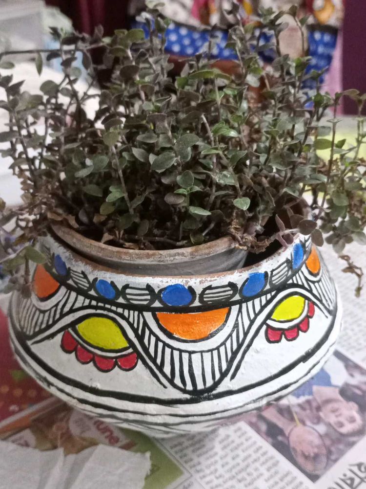 Flower Pots 🪴