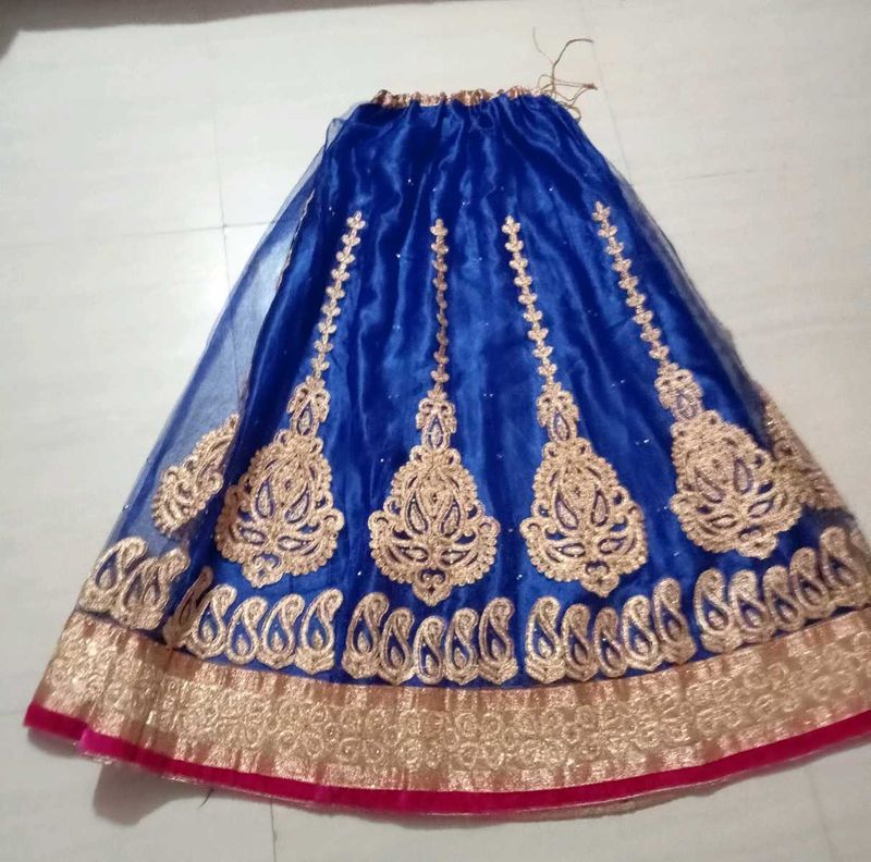 Royal Blue Embroidered Lehenga Skirt