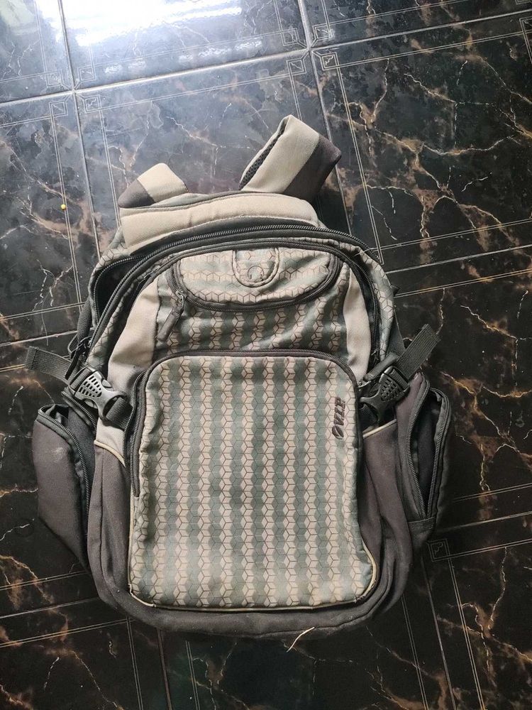 Price Drop ✨Grey printed backpack