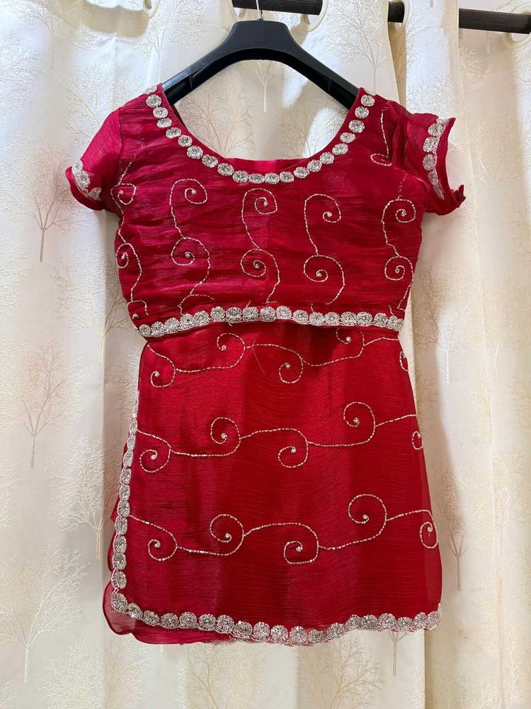 Red Handwork Jimmy Choo Fabric Saree