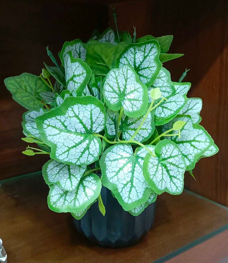 Artificial Plant in Black Pot