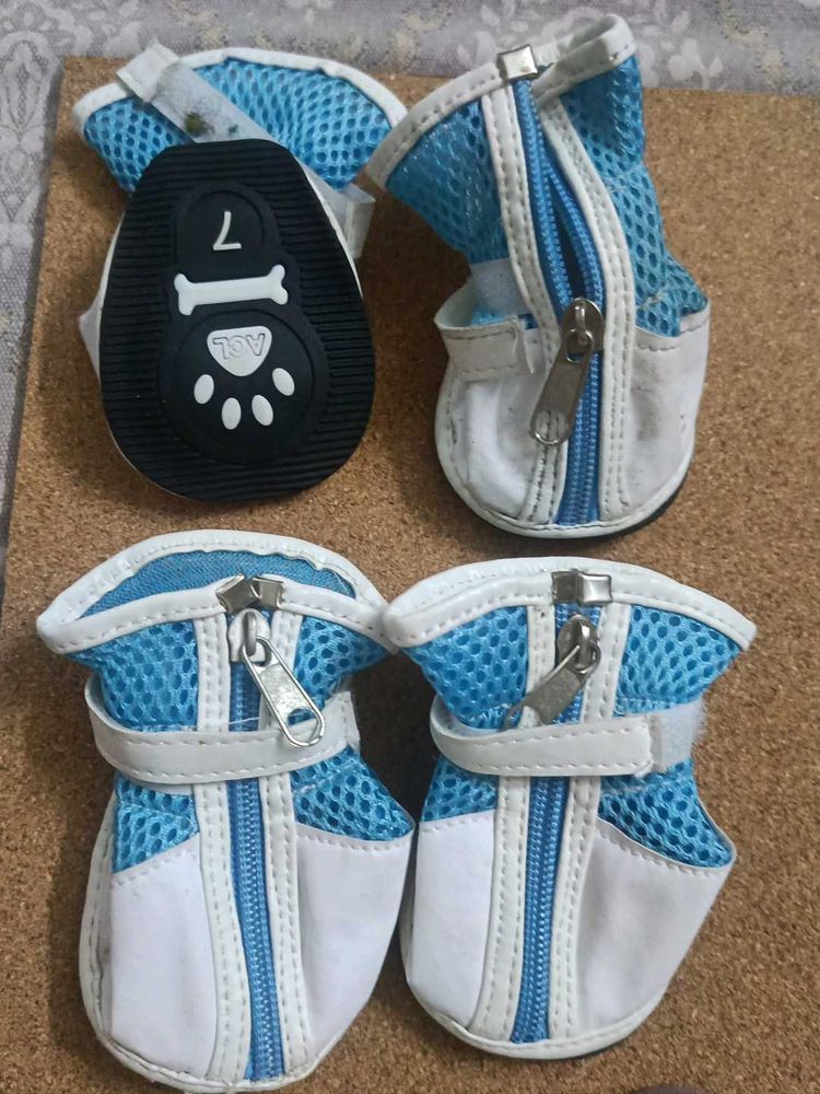 Pets Shoes