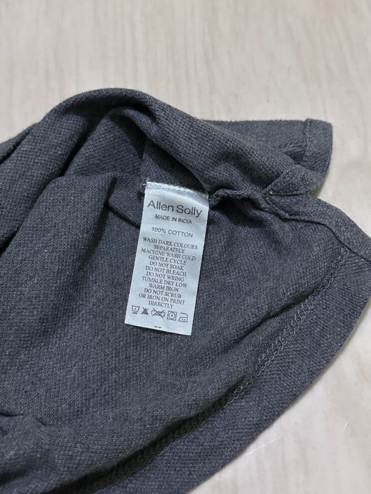 Allen Solly Men Large Grey T Shirt