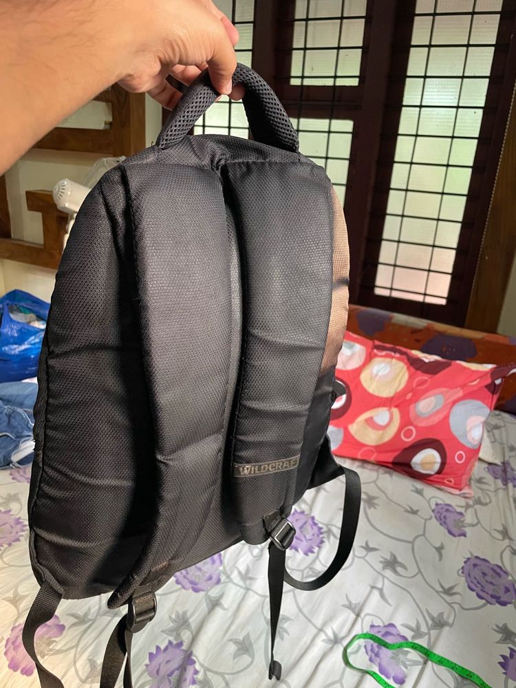 Back Bag For Sale