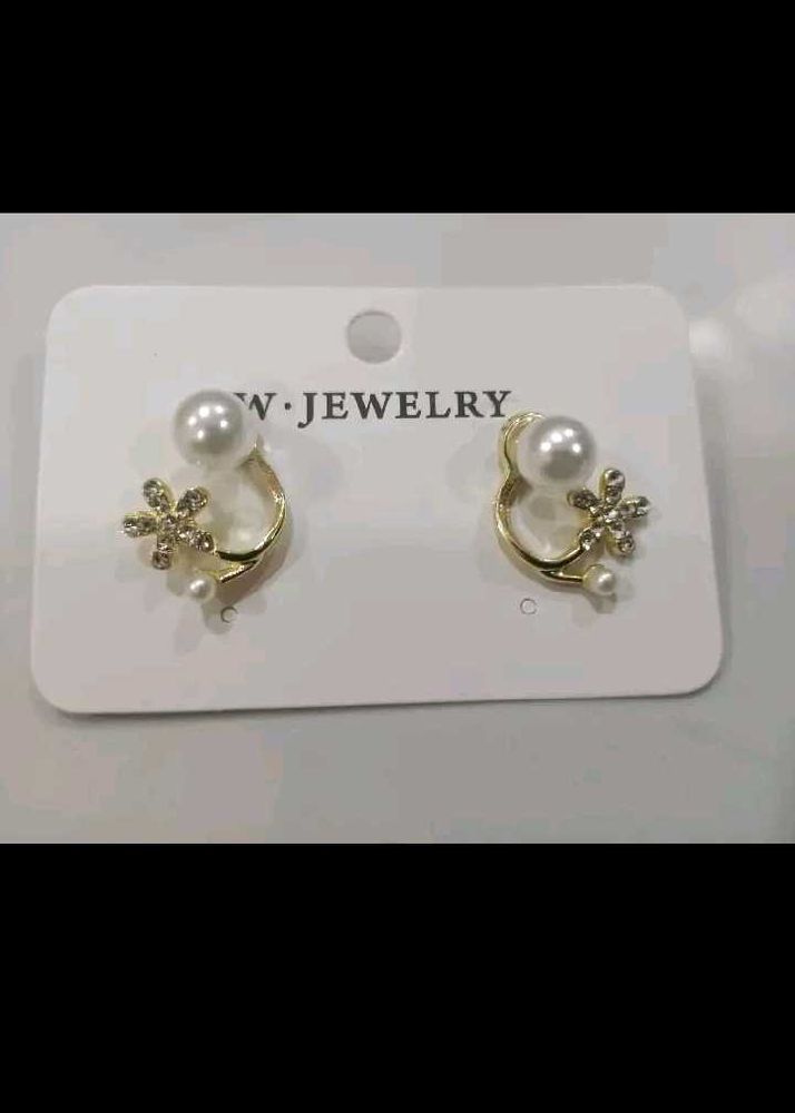 Beautiful Western Earing