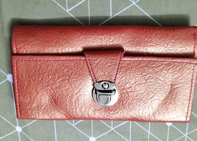 New Shimmery Clutch