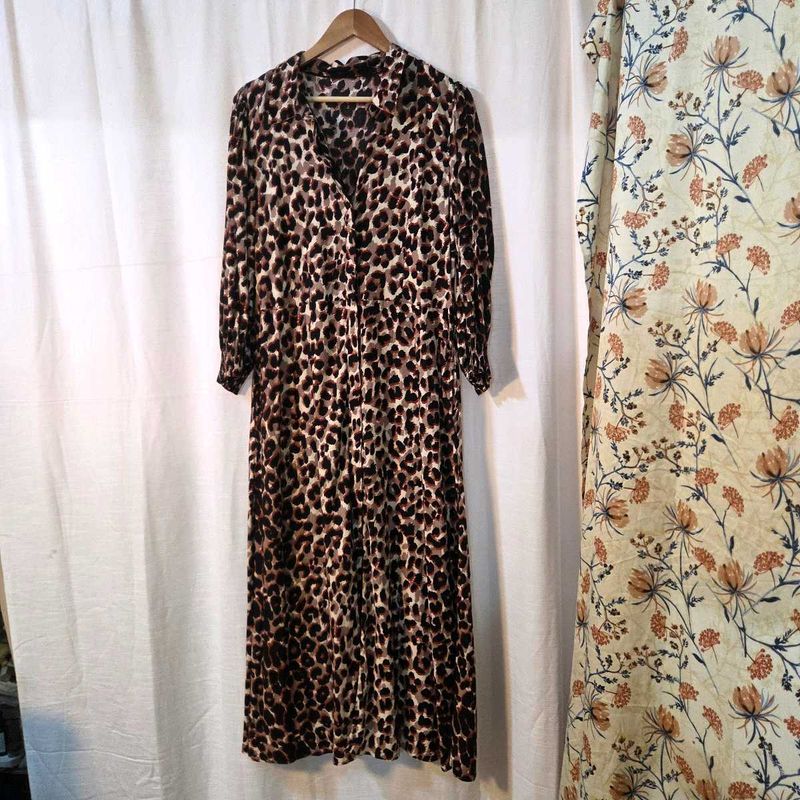 Collared Leopard Print Dress