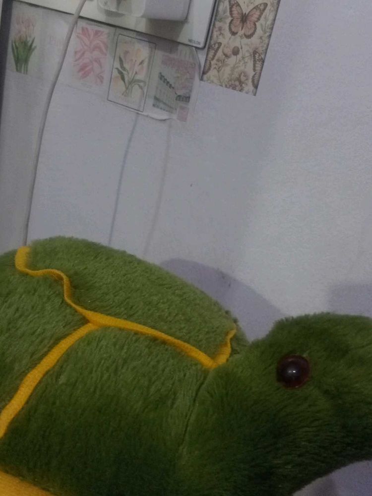 Turtle Plush Toy