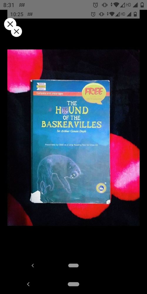 The Hound of the Baskervilles