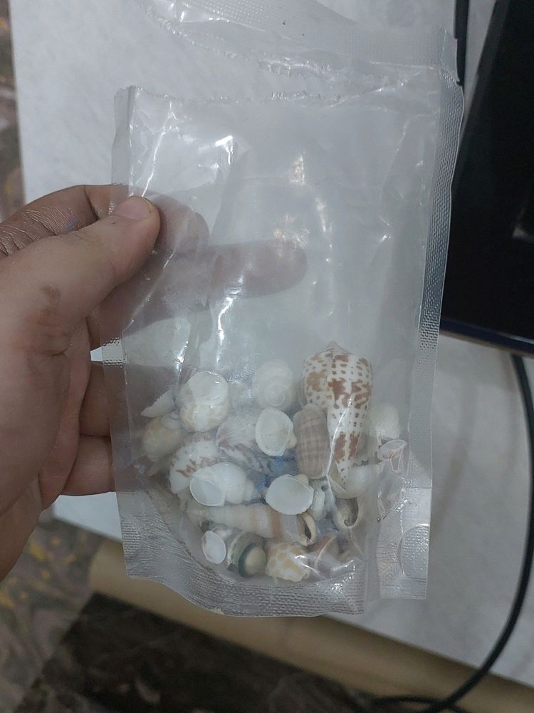 Half Packet Of Sea Shells