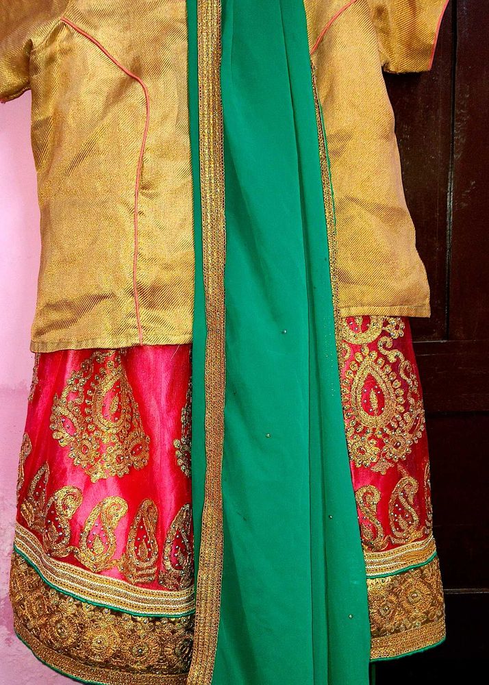 Lehanga Pink Green Combination Set