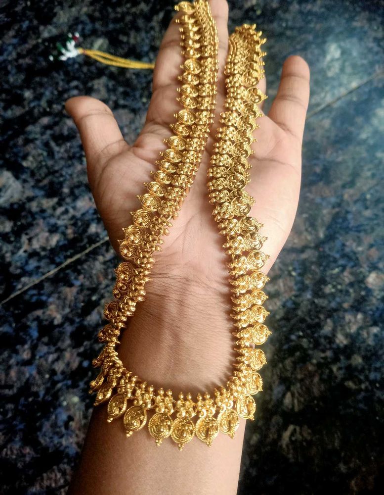 Casu Haram
