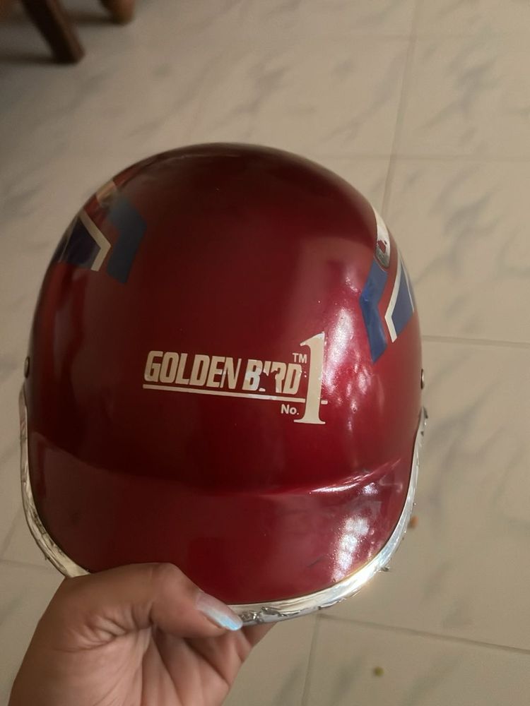 Vintage Golden Bird Helmet