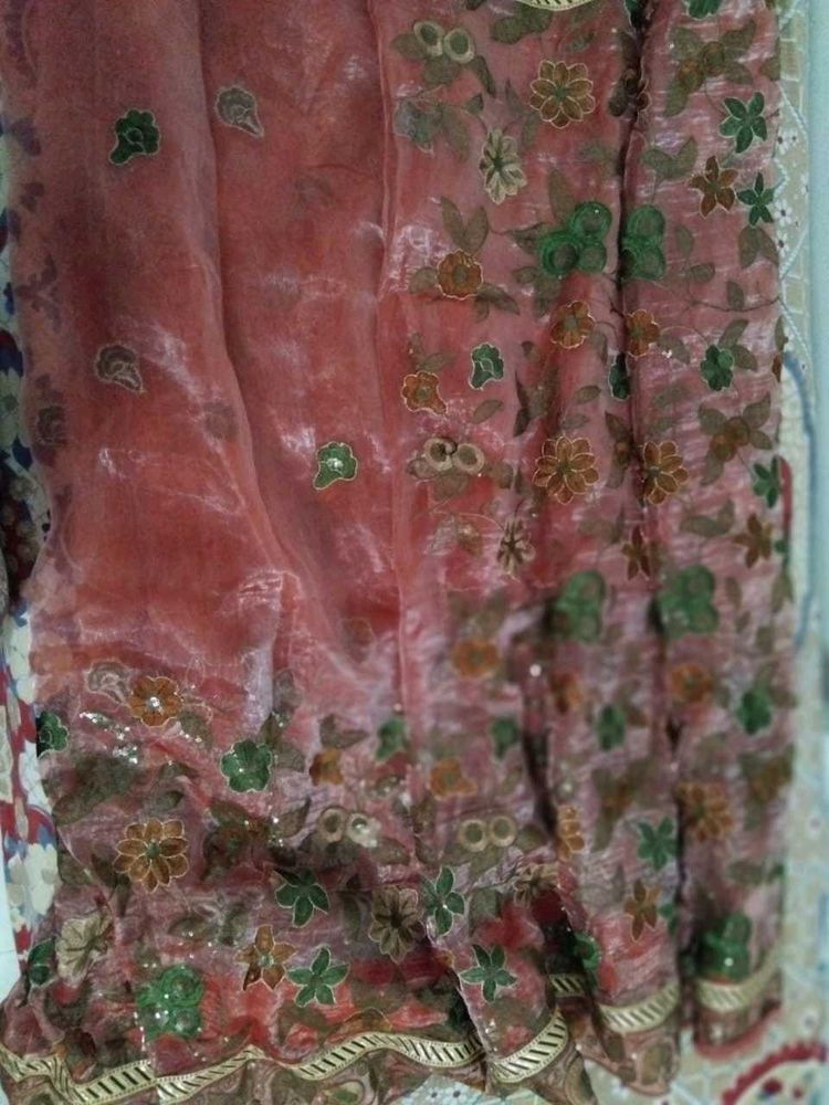 Beautiful delicate Organza embroidery saree