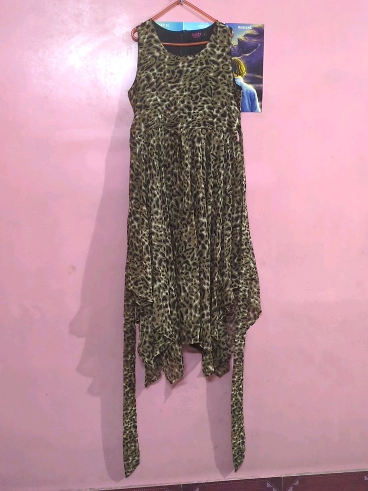 ( Worn Once) Animal Print Dress