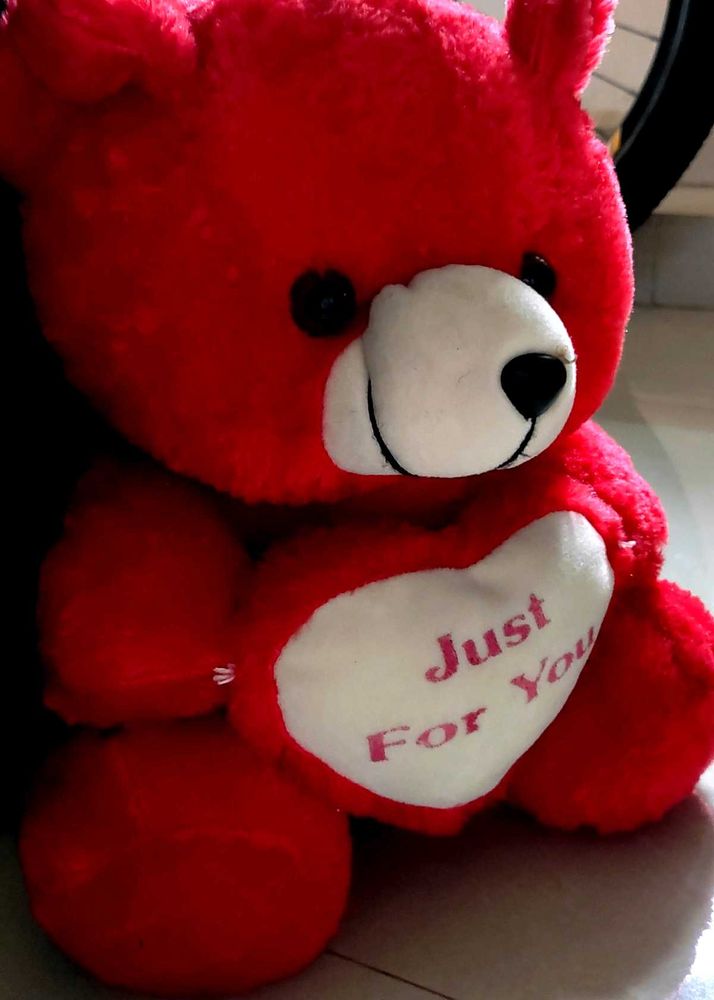 Red Teddy Bear with FREE GIFT 🧸🐻