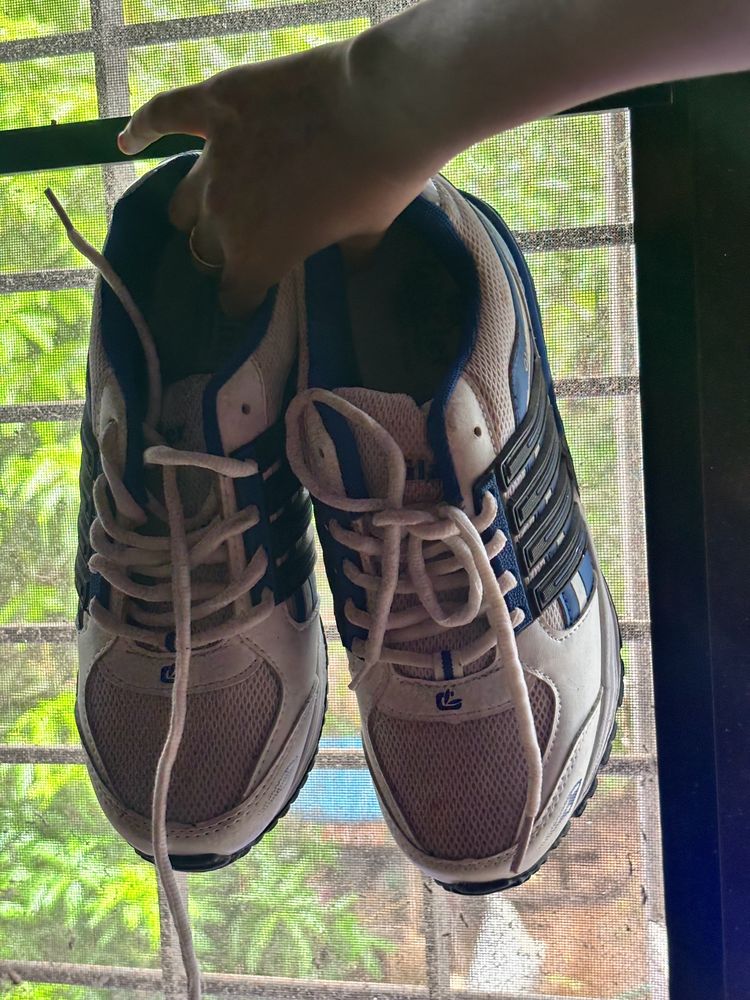 Running Shoes ( Unisex)