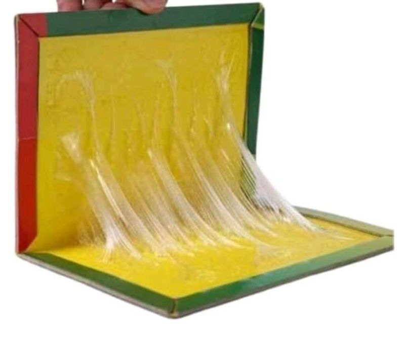 Pest Control Mouse Trap Rat Glue