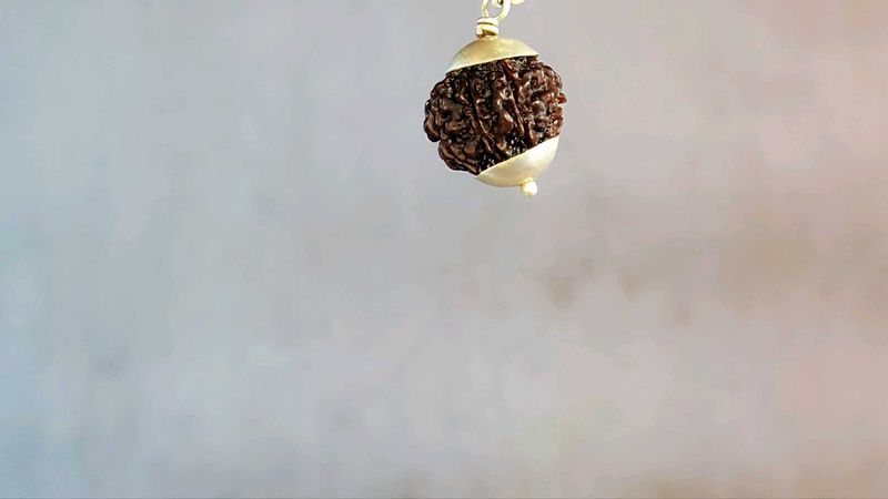 8 Mukhi Rudraksha (925 Silver Clapping) Nepali